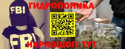 прущие крисы Берёзовский
