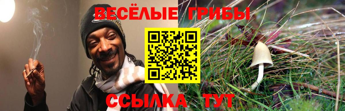 Псилоцибиновые грибы MAGIC MUSHROOMS  Вход с VPN  Кисловодск 